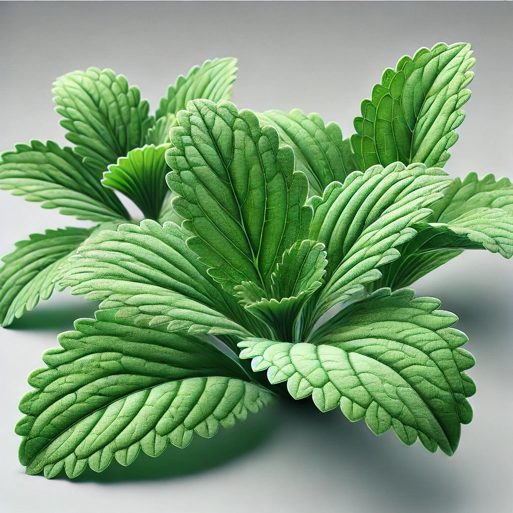 Stevia